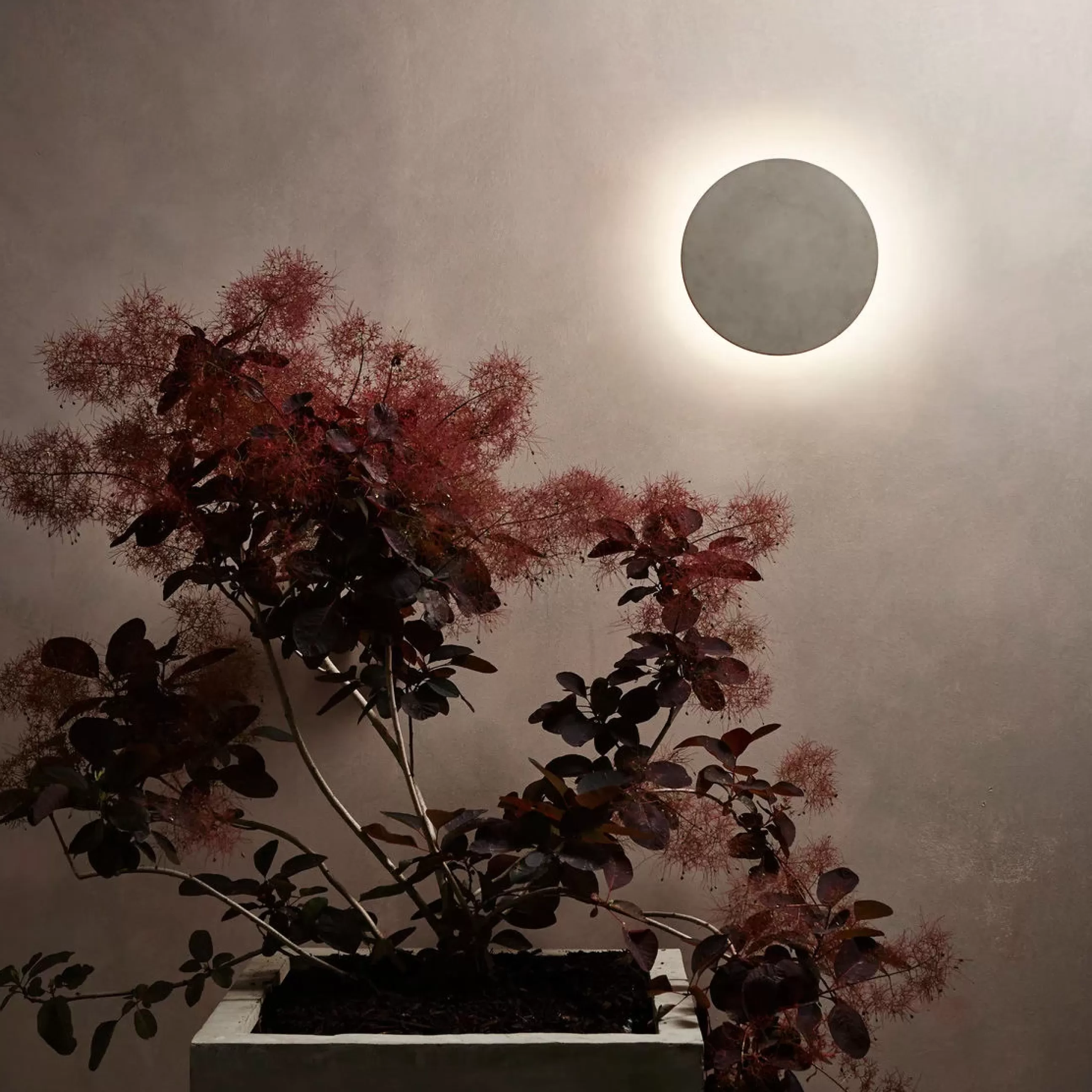 Luminaires De Salle De Bains>Astro Lighting Applique D'extérieur Eclipse Round Led Pierre- O 30 Cm - Gris