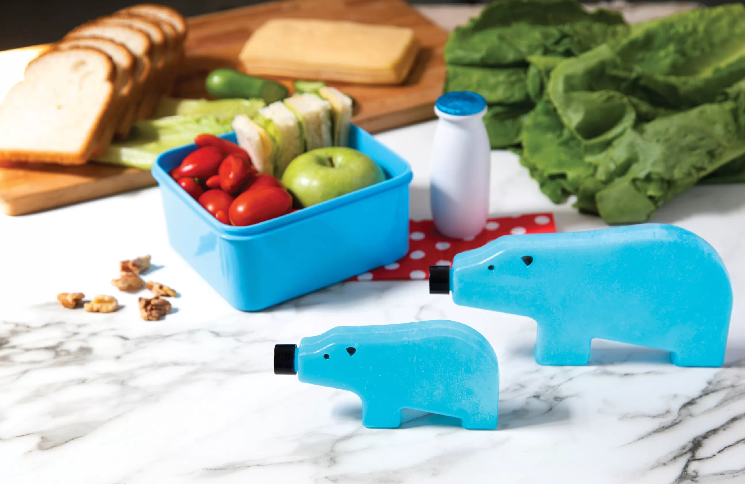Accessoires Cuisine>Pa Design Bloc Refrigerant Blue Bear Plastique / Small -  L 13 Cm - Bleu
