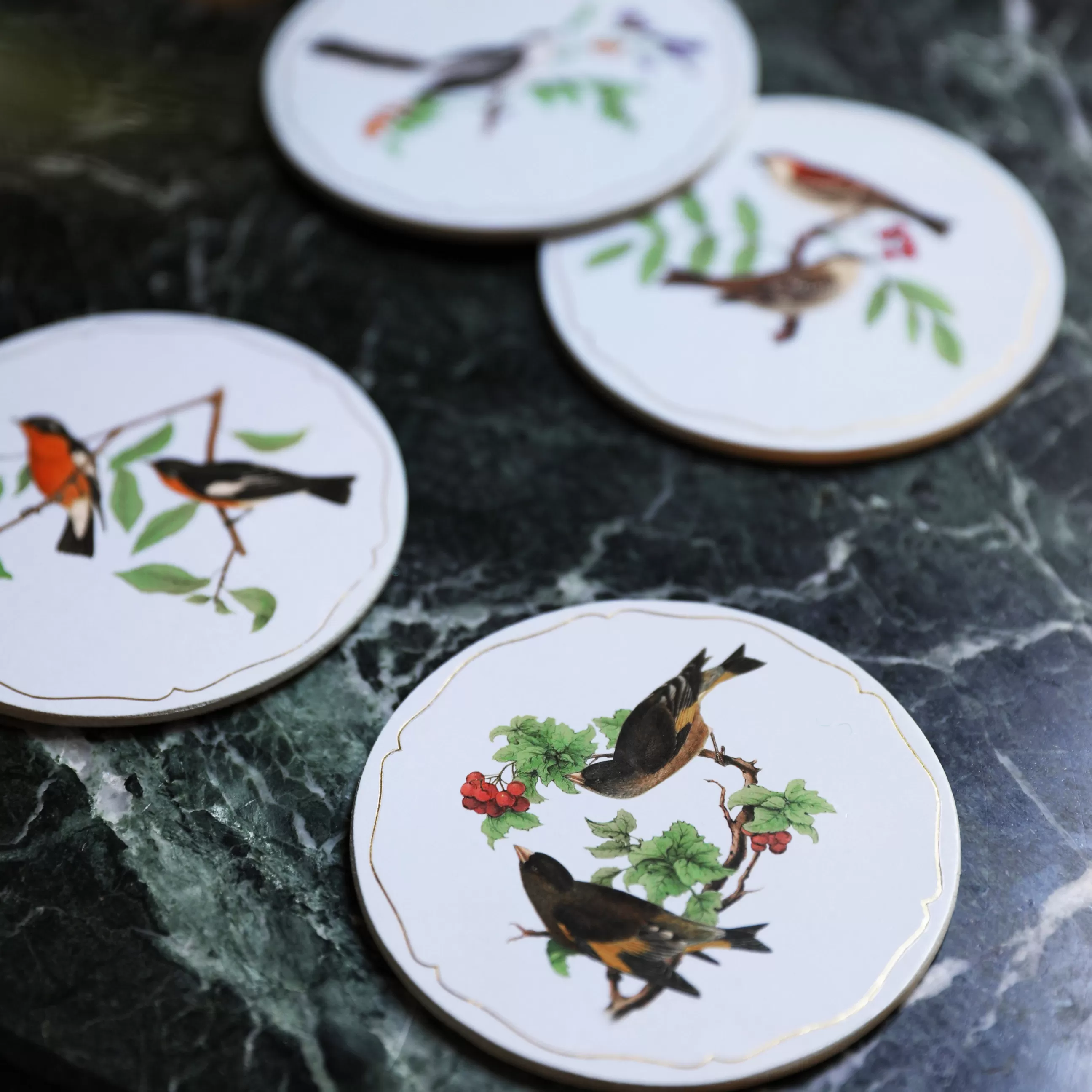 Dessous De Plat>& klevering Dessous De Verre Avifauna Liege Blanc / Set De 4 - Liege - Blanc - Multicolore