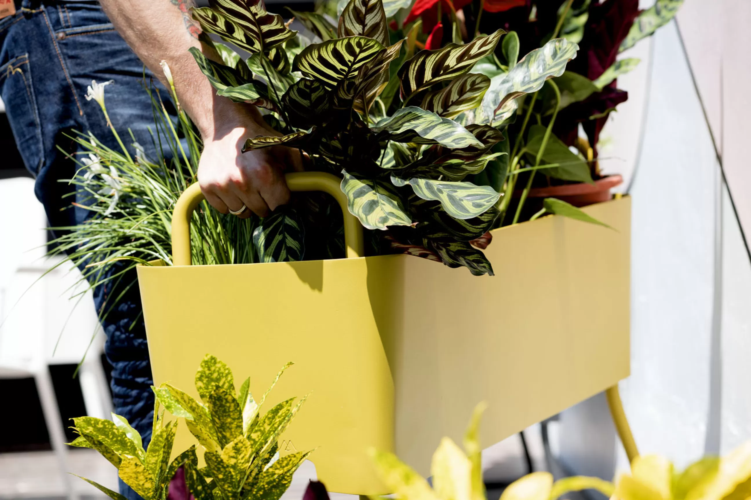 Pots Et Plantes>Maiori Jardiniere Greens Mini Metal Jaune / Metal - L 100 X H 46 Cm - Jaune Moutarde