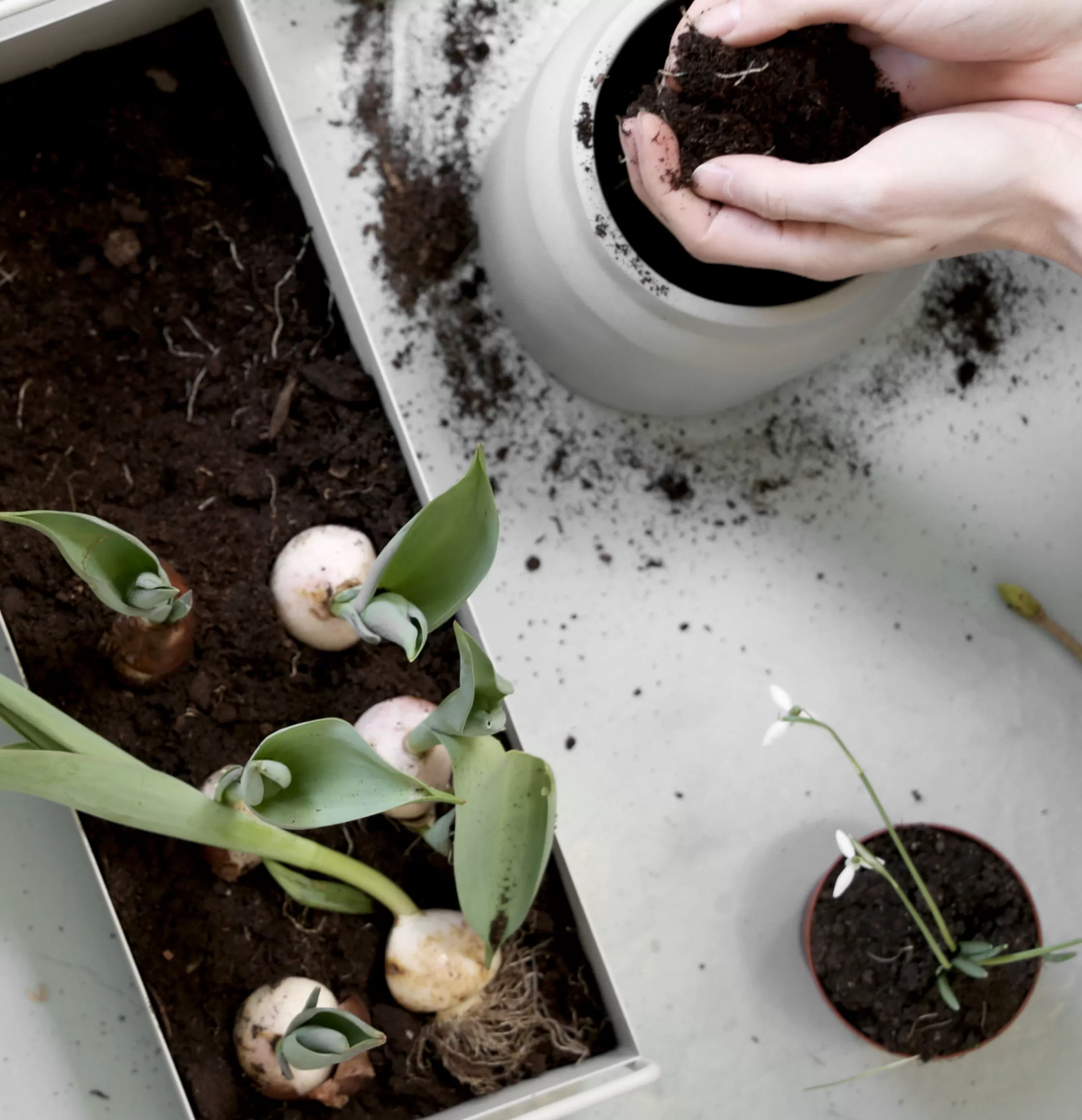 Pots Et Plantes>Ferm Living Jardiniere Plant Box Small Metal/ Panier - L 45 X H 14 Cmx Prof. 25 Cm - Noir