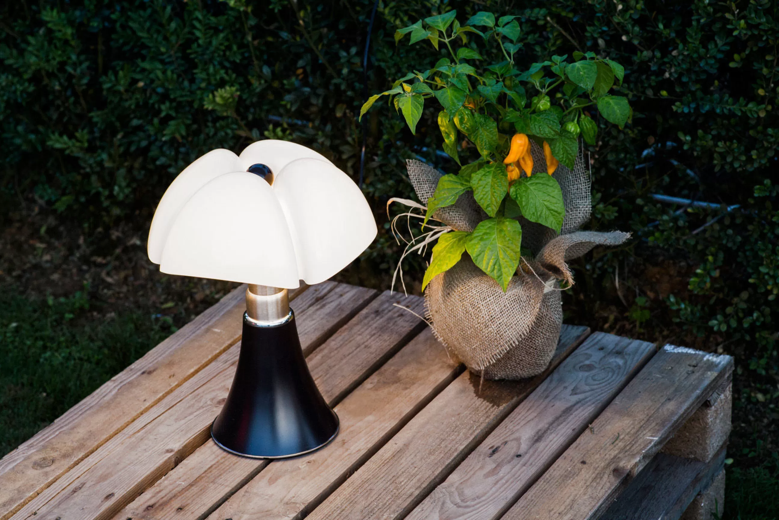 Lampes Sans Fil>Martinelli Luce Lampe Sans Fil Rechargeable Minipipistrello Led Metal Plastique Marron / H 35 Cm - Usb - Blanc - Marron Fonce