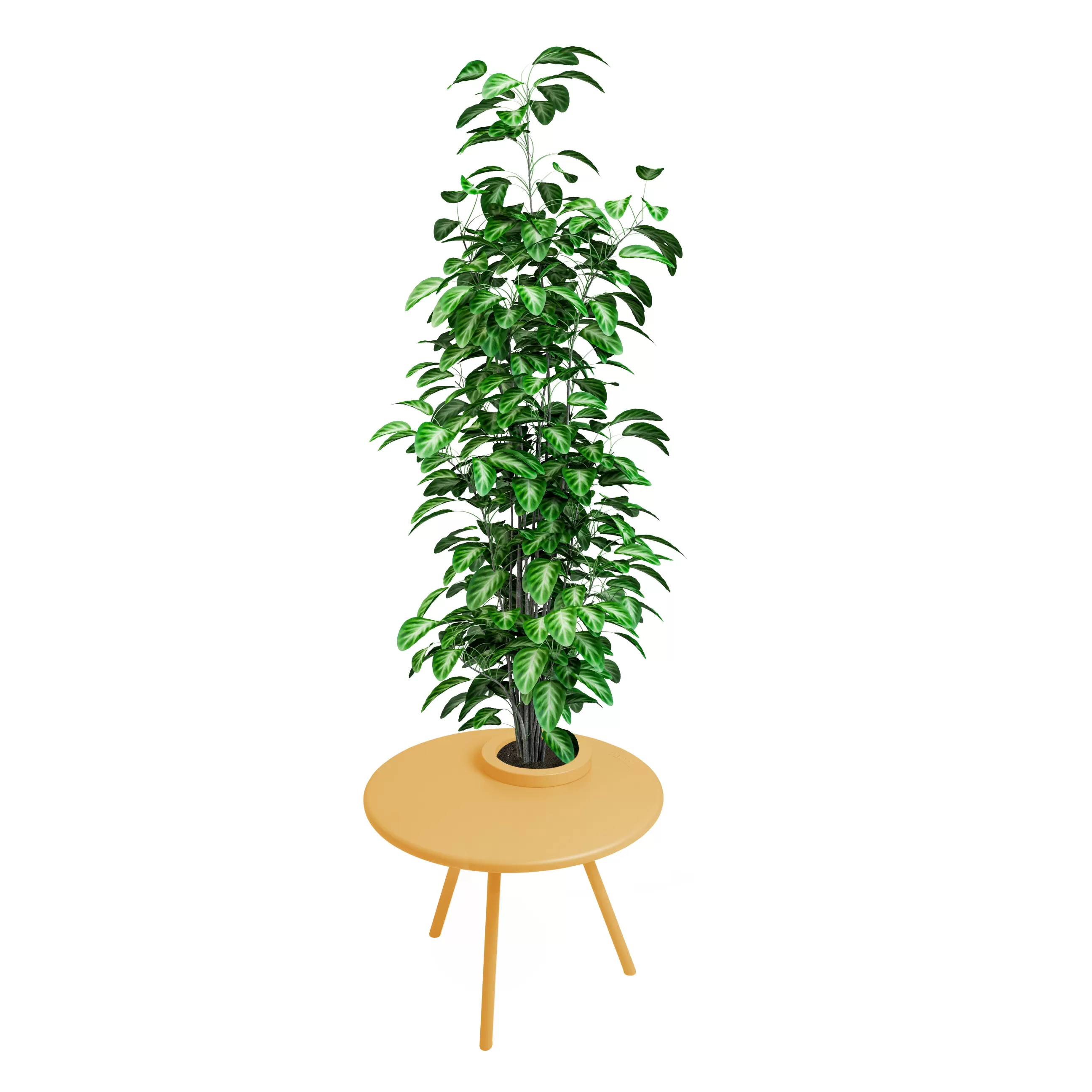 Tables Basses De Jardin>Fatboy Table Basse Bakkes Outdoor Metal Jaune / O 60 Cm - Pot De Fleurs Integre / Acier - Jaune Rayon De Soleil